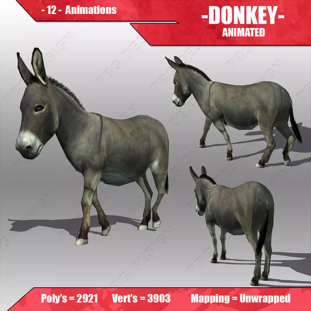 Donkey Animated Low-poly 3D model_0