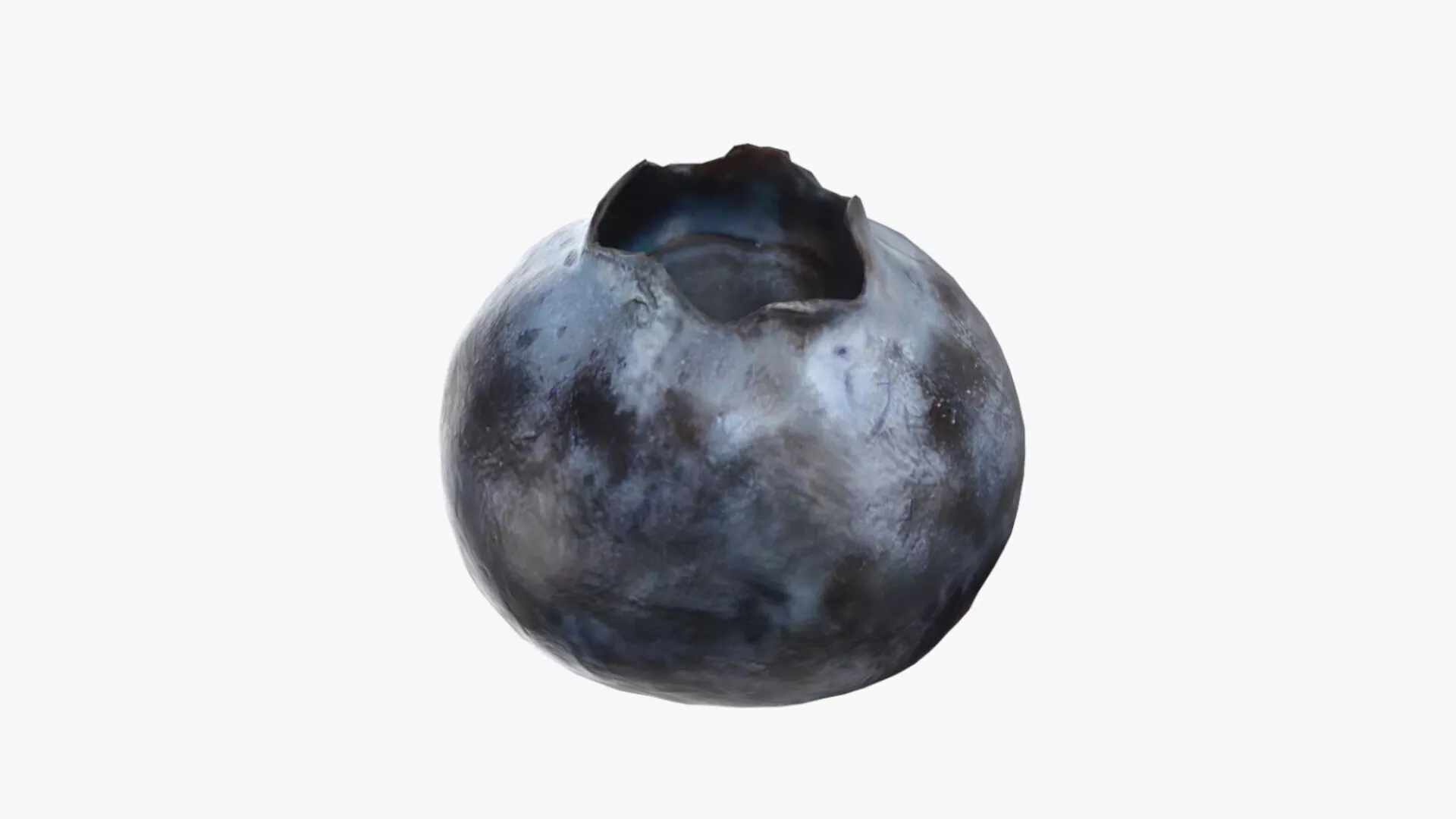 Blueberry - Photo Scan Free low-poly 3D model