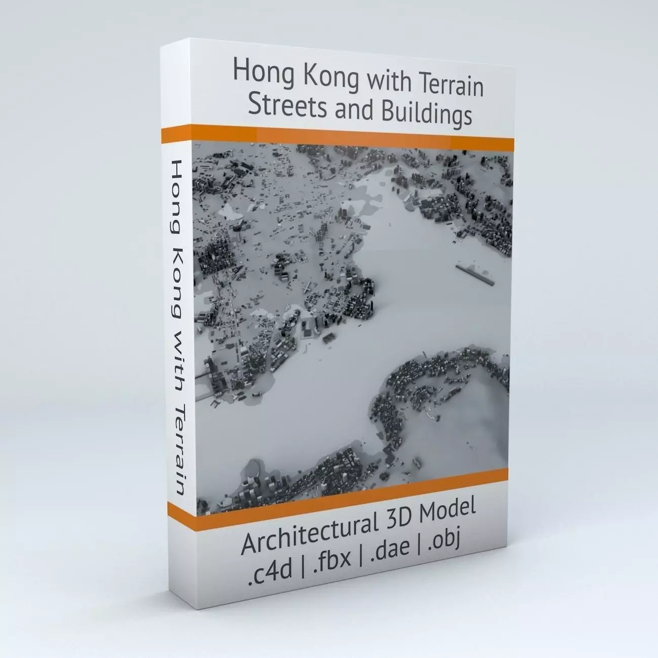 Hong Kong Districts Streets and Buildings with Terrain 3D model_0