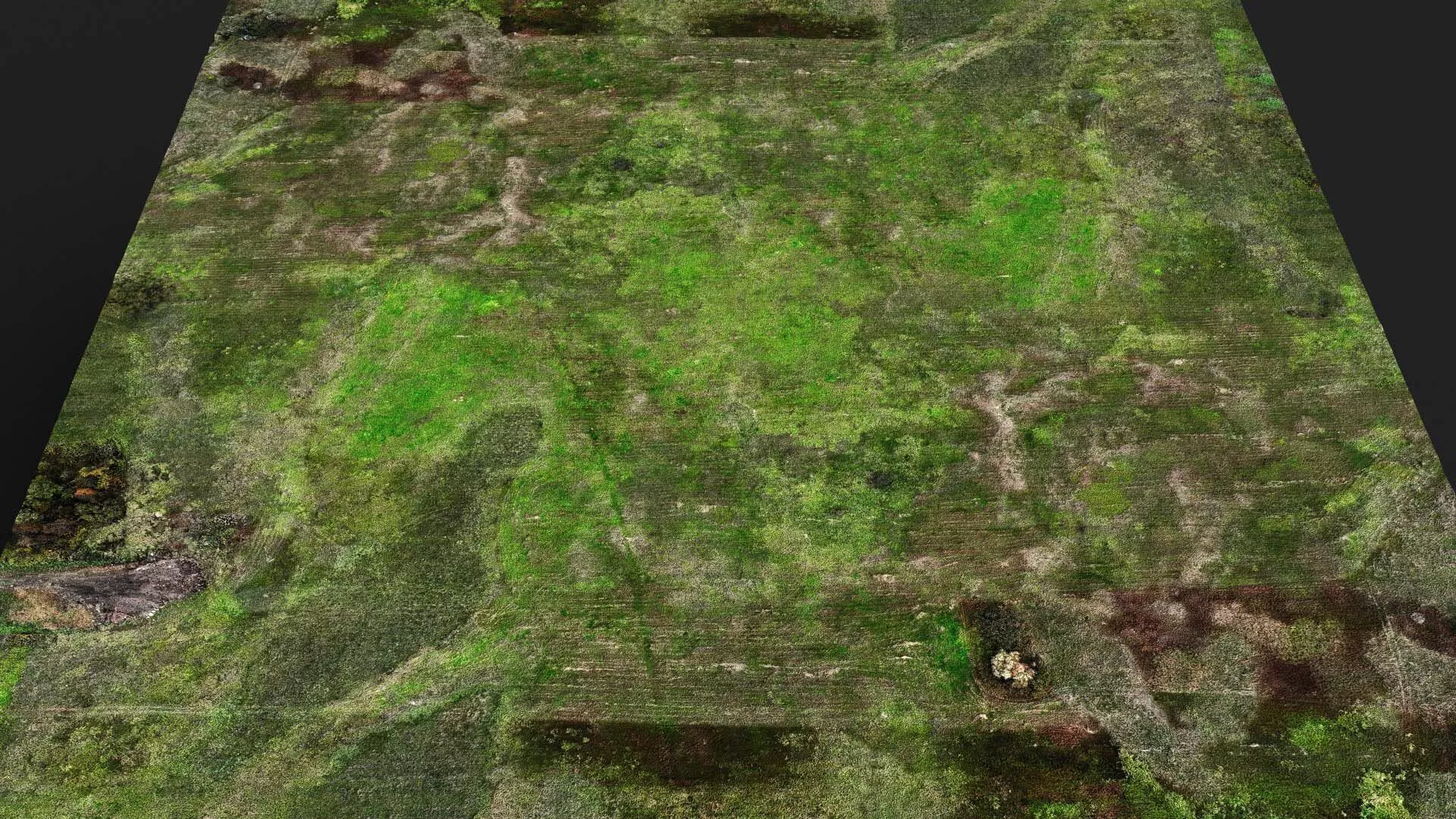terrain ground grass bushes patch pt13 PBR photogrammetry Low-poly 3D model