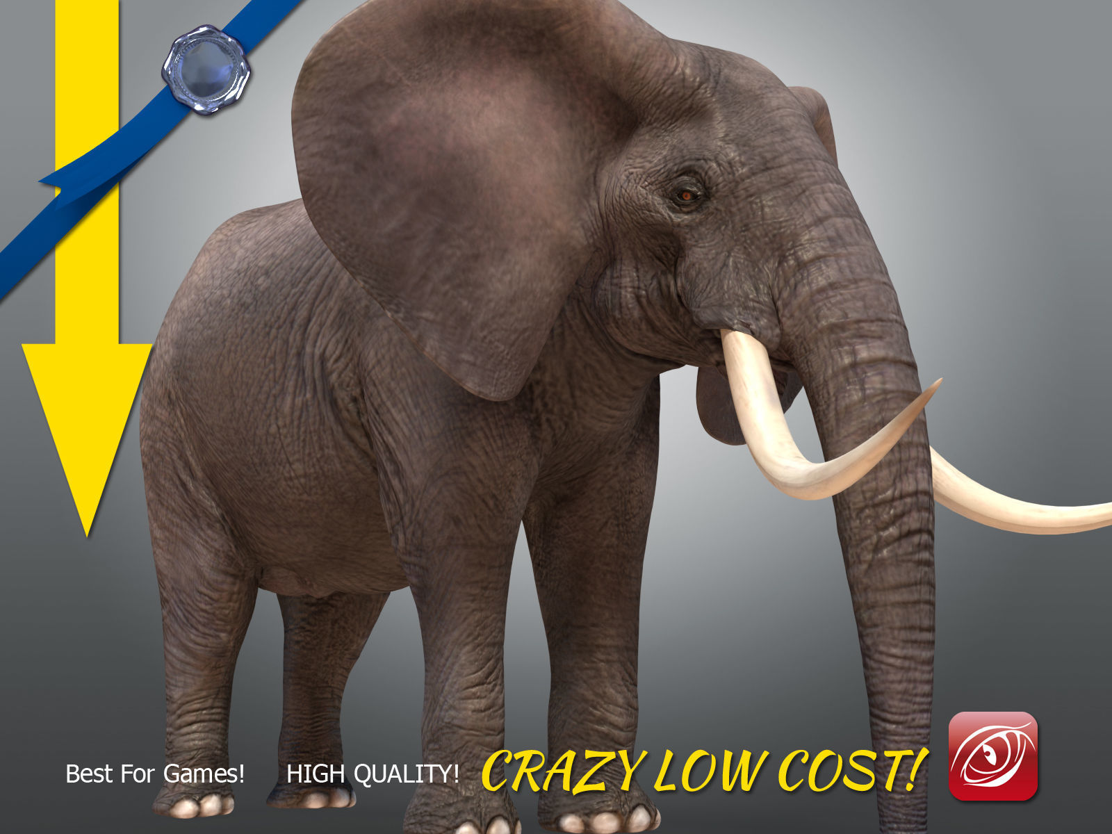 Elephant maleA T-pose