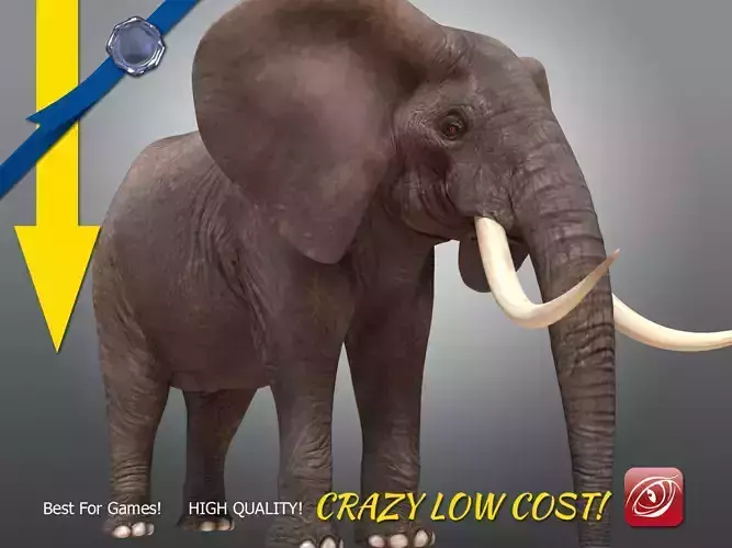 Elephant maleA T-pose Low-poly 3D model