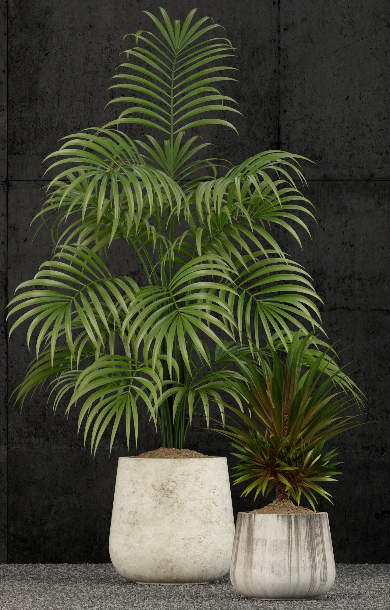 Plants collection 53 3D model_1