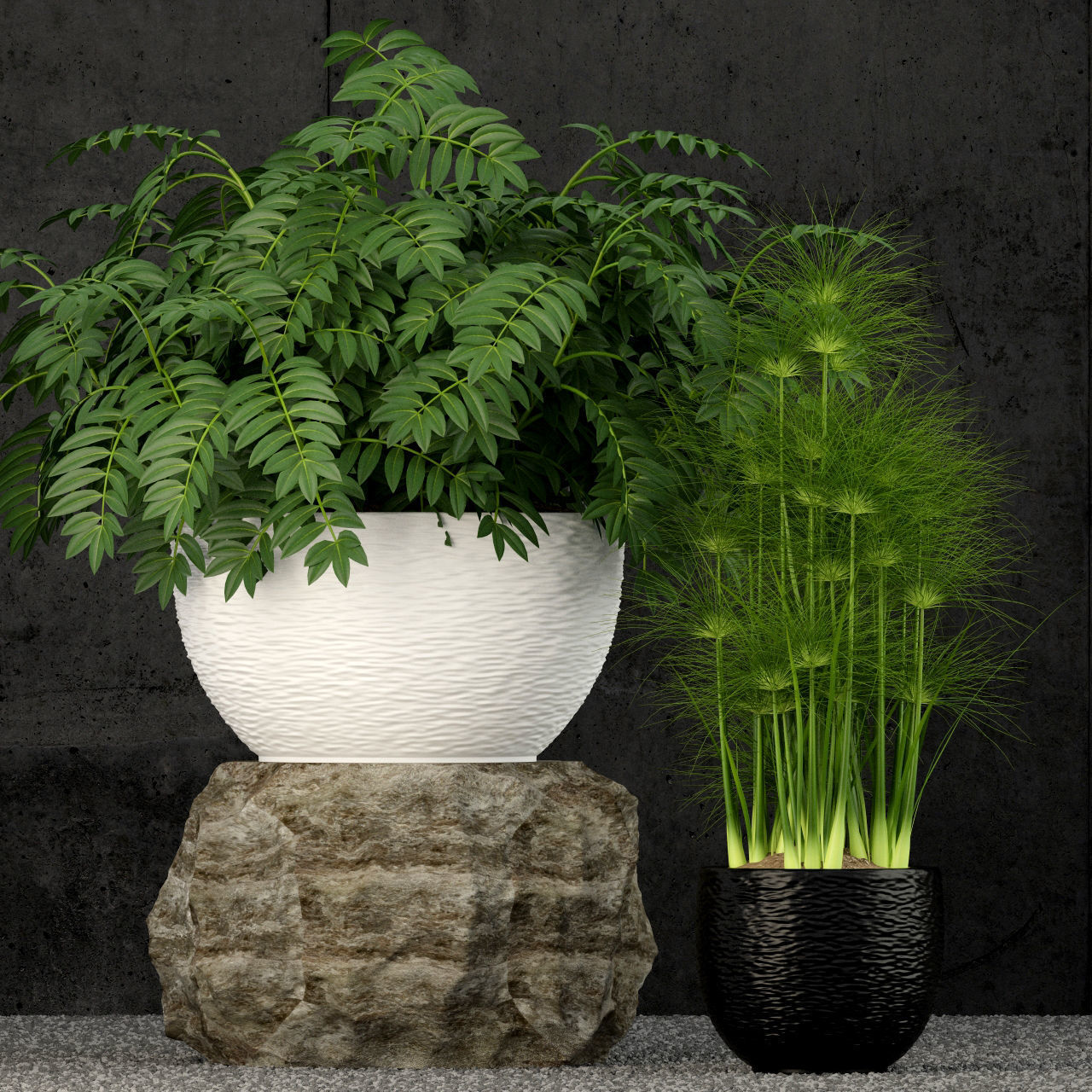 Plants collection 53 3D model_3