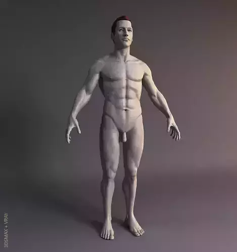 Human Male 3D model