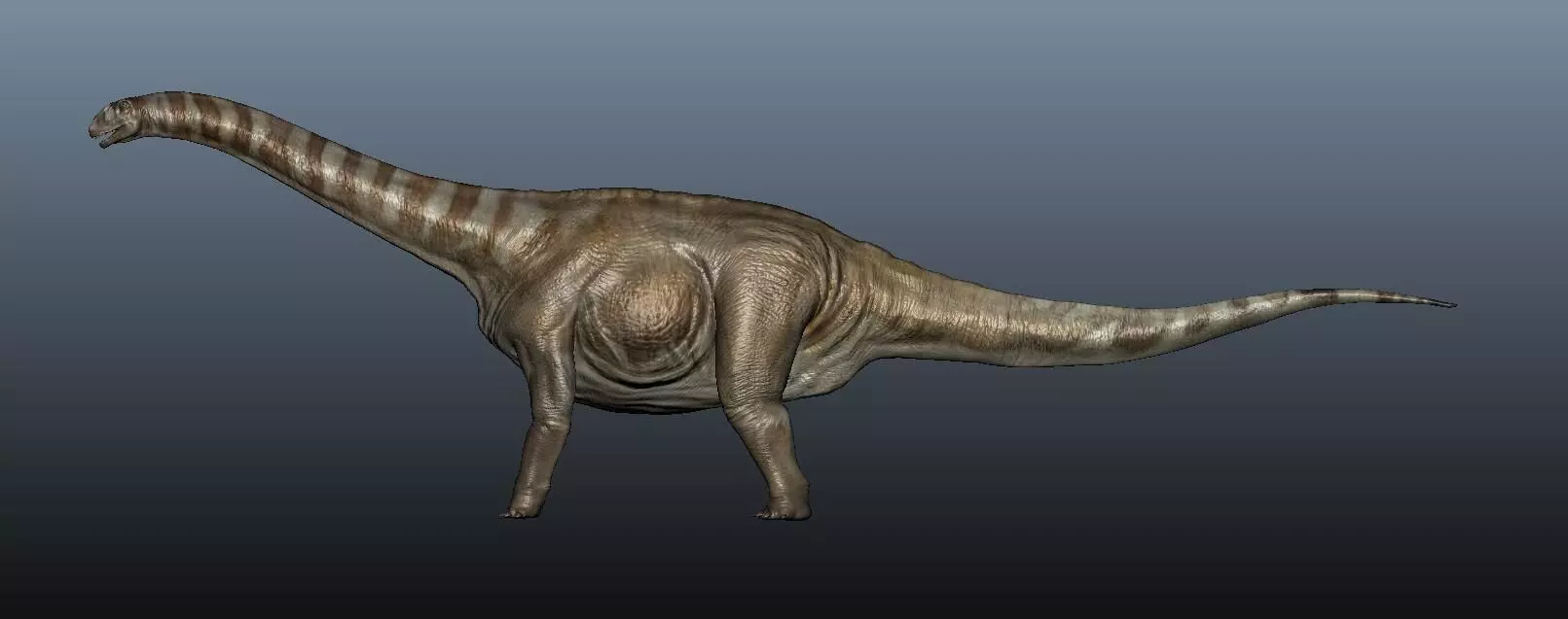 Apatosaurus dinosaur 3D model_0