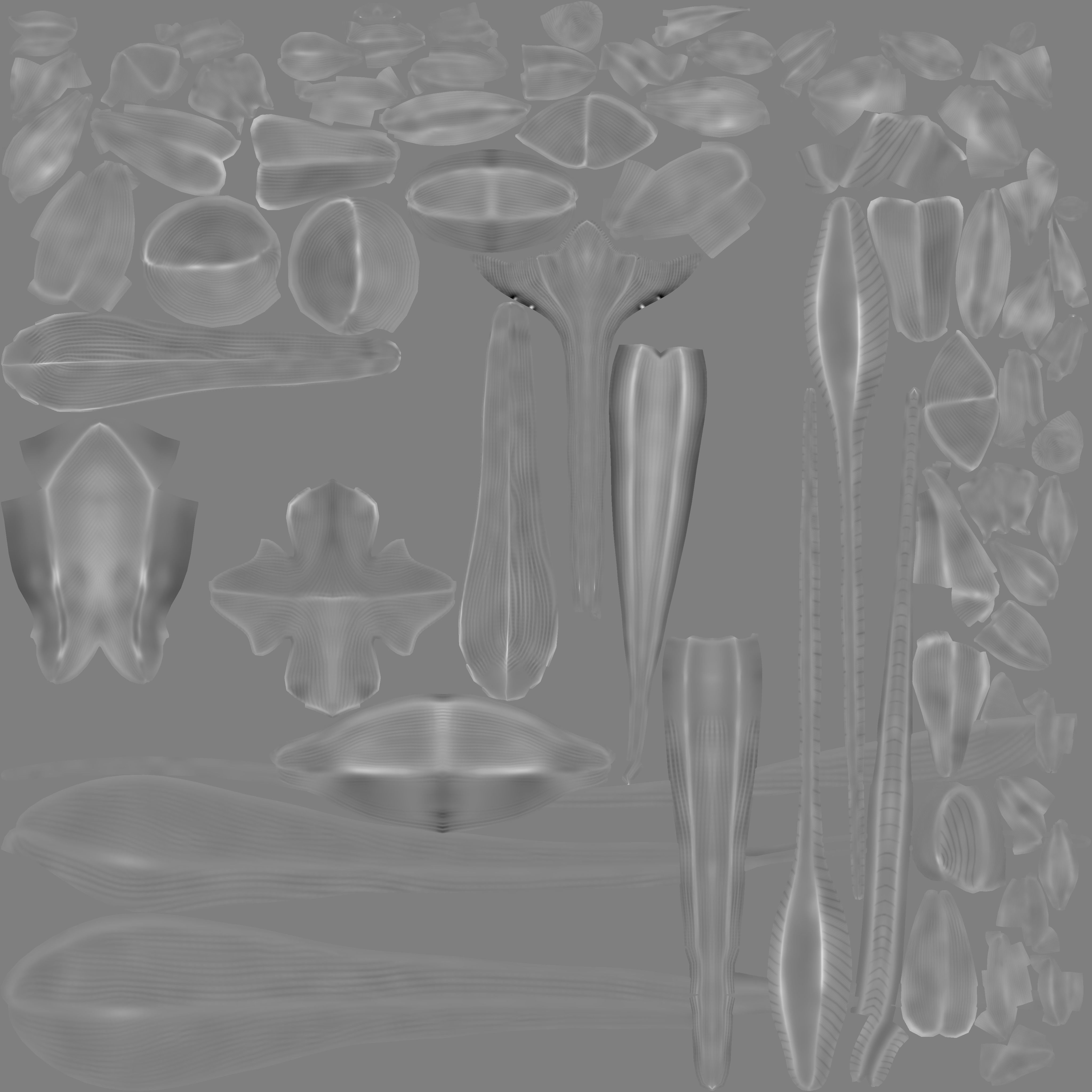 Apatosaurus dinosaur 3D model_20