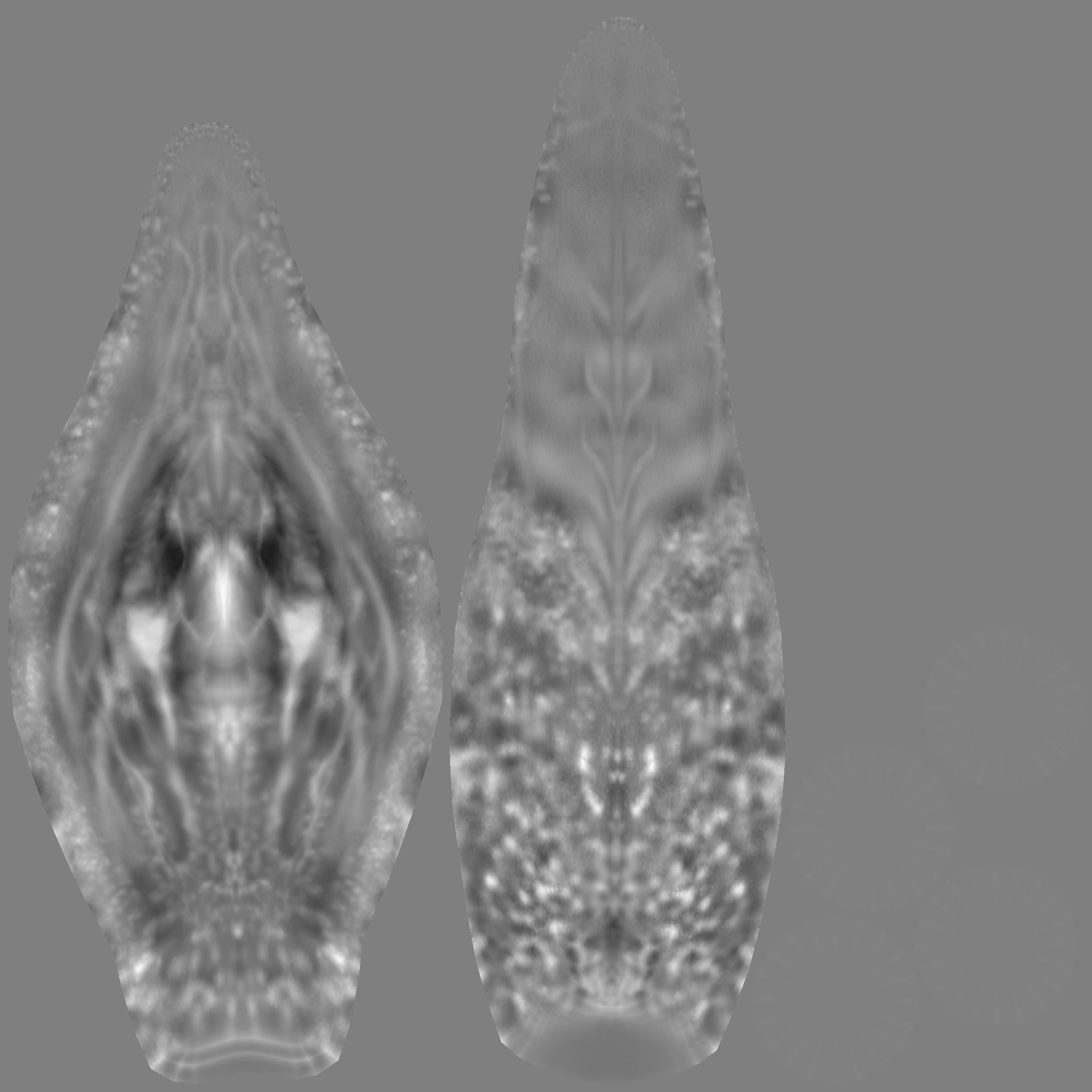 Apatosaurus dinosaur 3D model_18