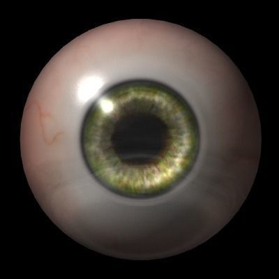 Apatosaurus dinosaur 3D model_14