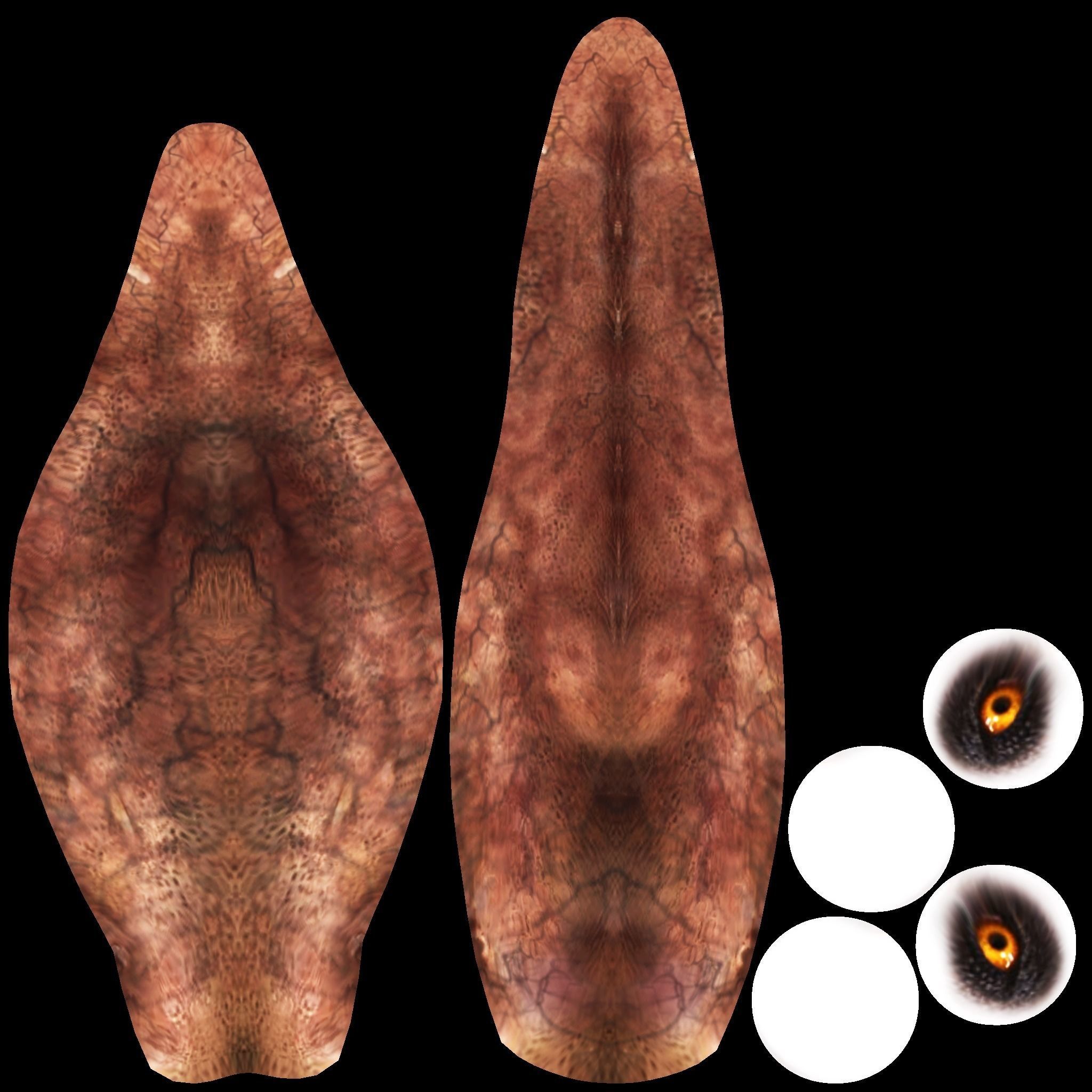 Apatosaurus dinosaur 3D model_12