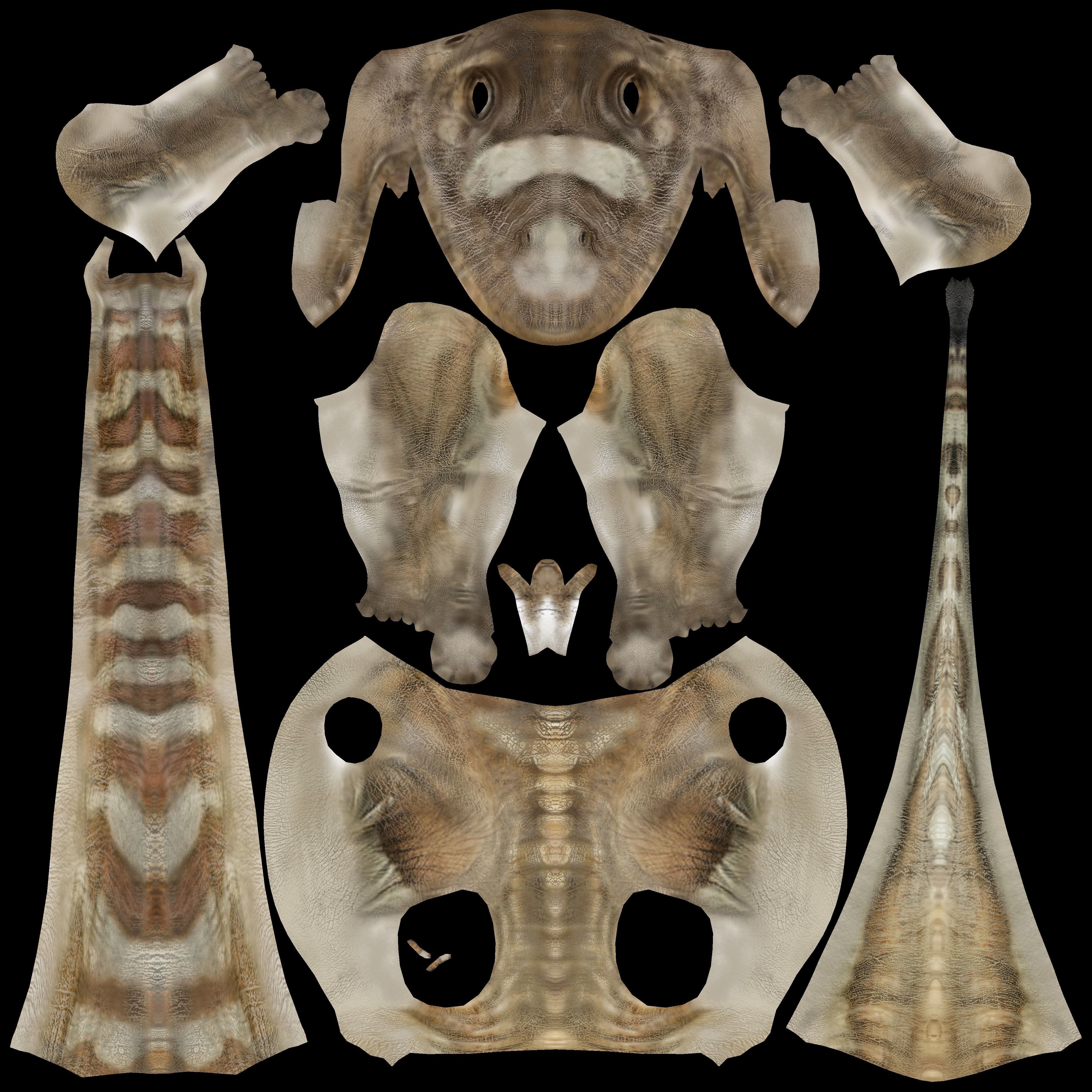 Apatosaurus dinosaur 3D model_10