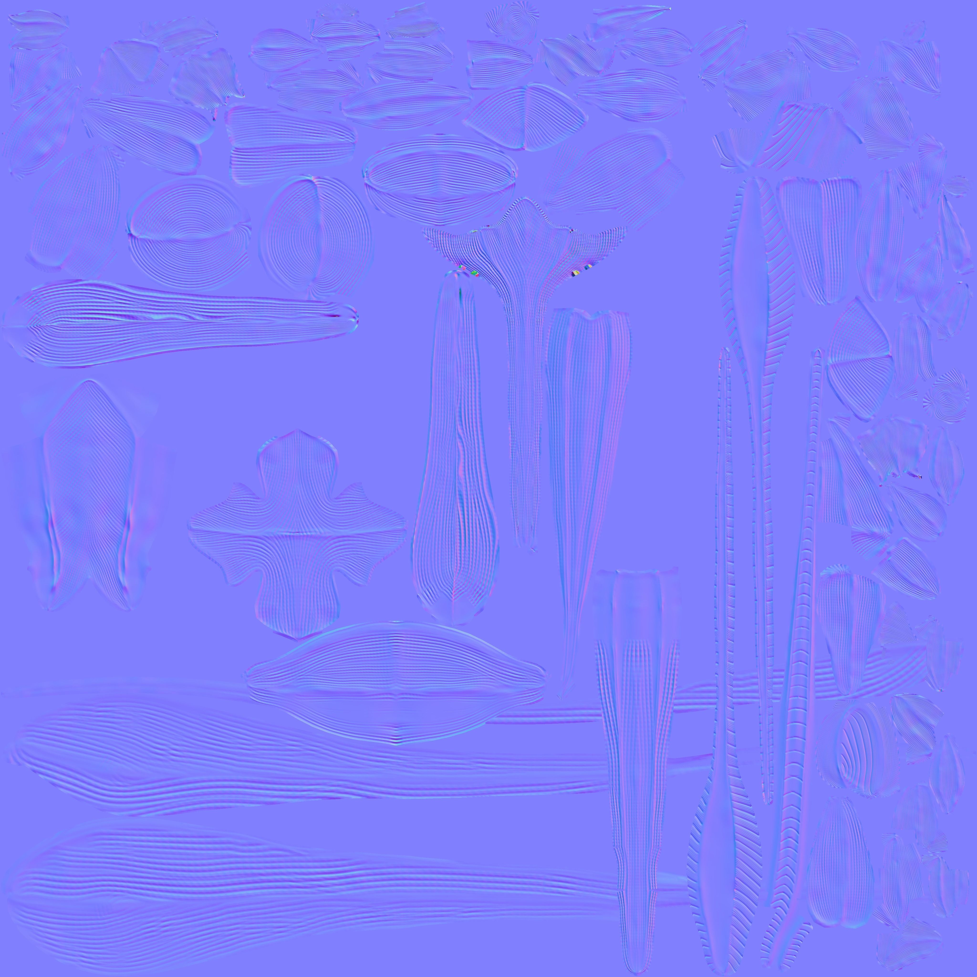 Apatosaurus dinosaur 3D model_25