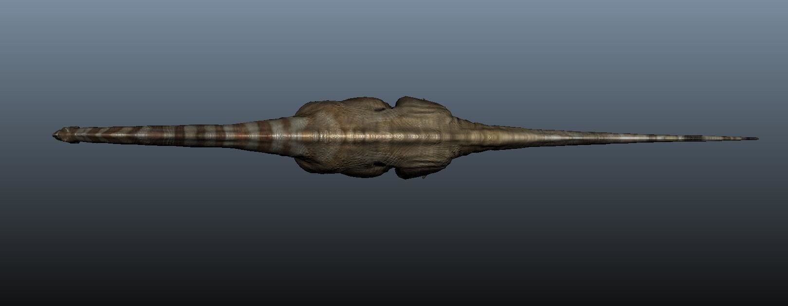 Apatosaurus dinosaur 3D model_4