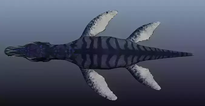 Liopleurodon dinosaur