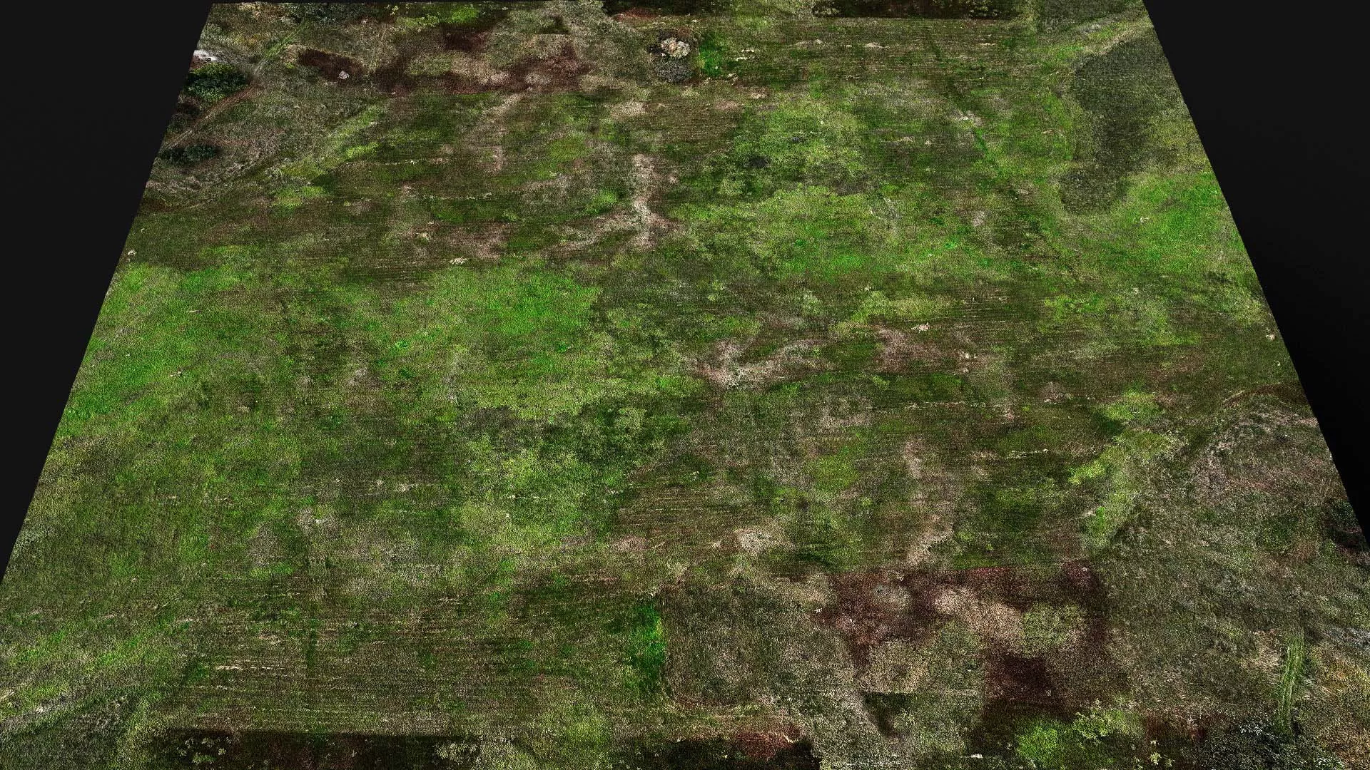 terrain ground grass bushes patch pt14 PBR photogrammetry Low-poly 3D model