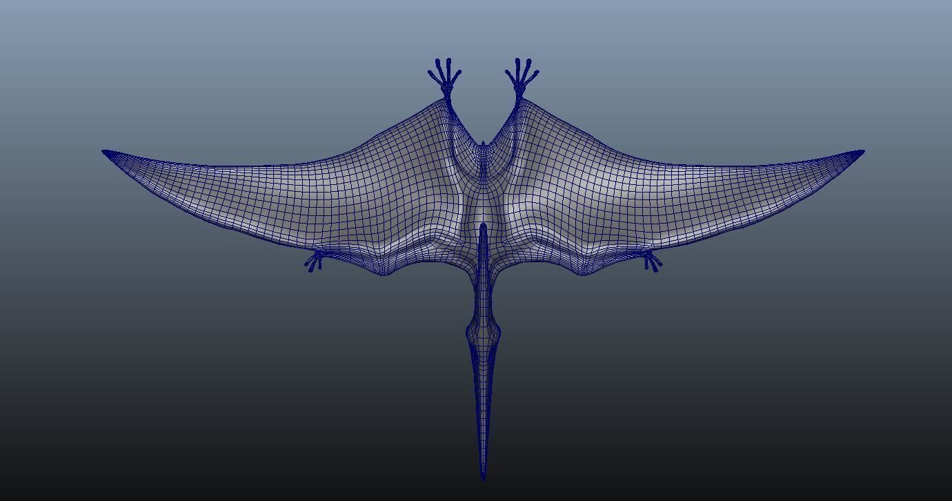 Pteranodon dinosaur flying in sky 3D model_5