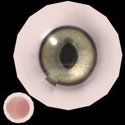 Pteranodon dinosaur flying in sky 3D model_10