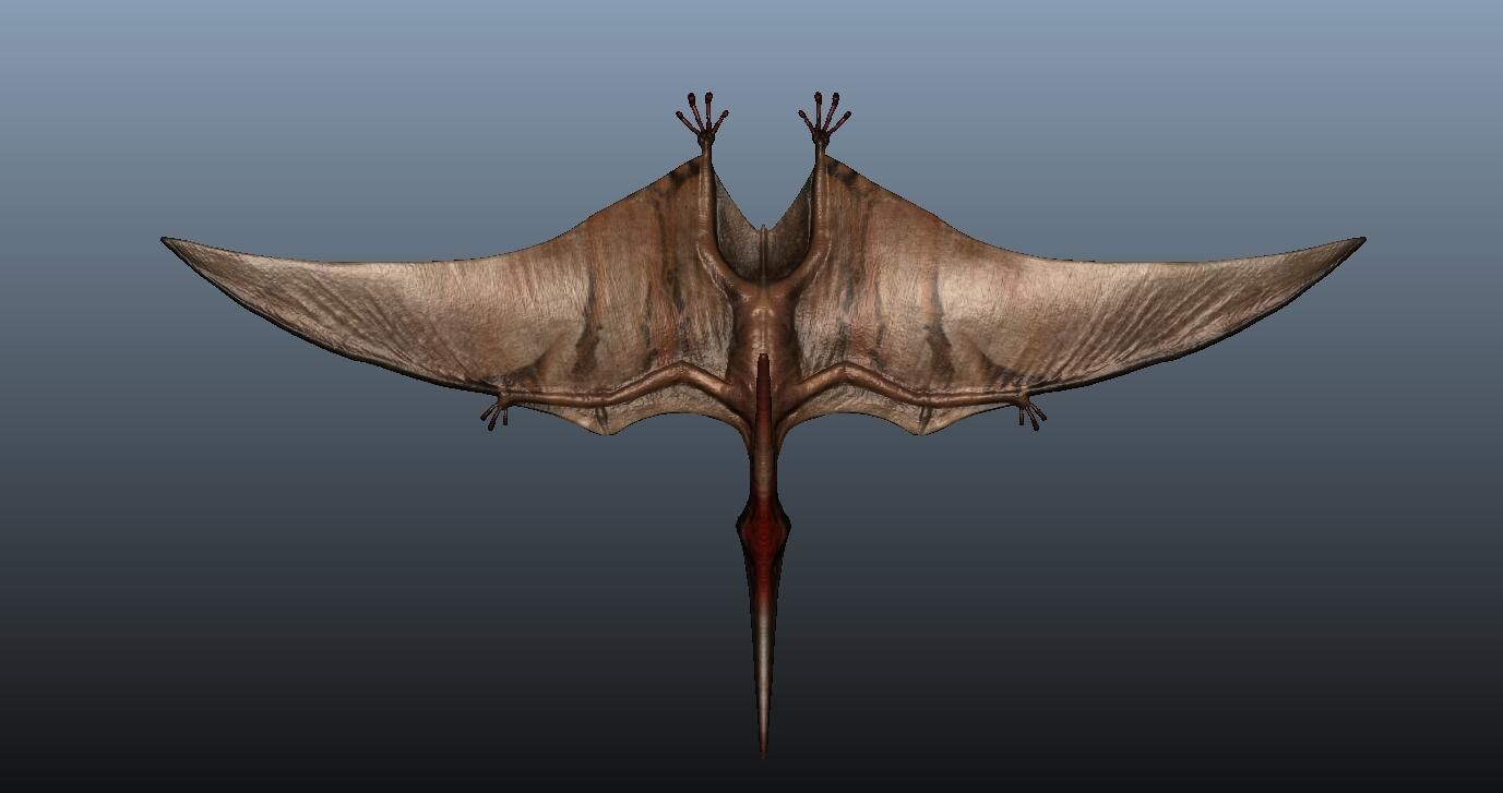 Pteranodon dinosaur flying in sky 3D model_1