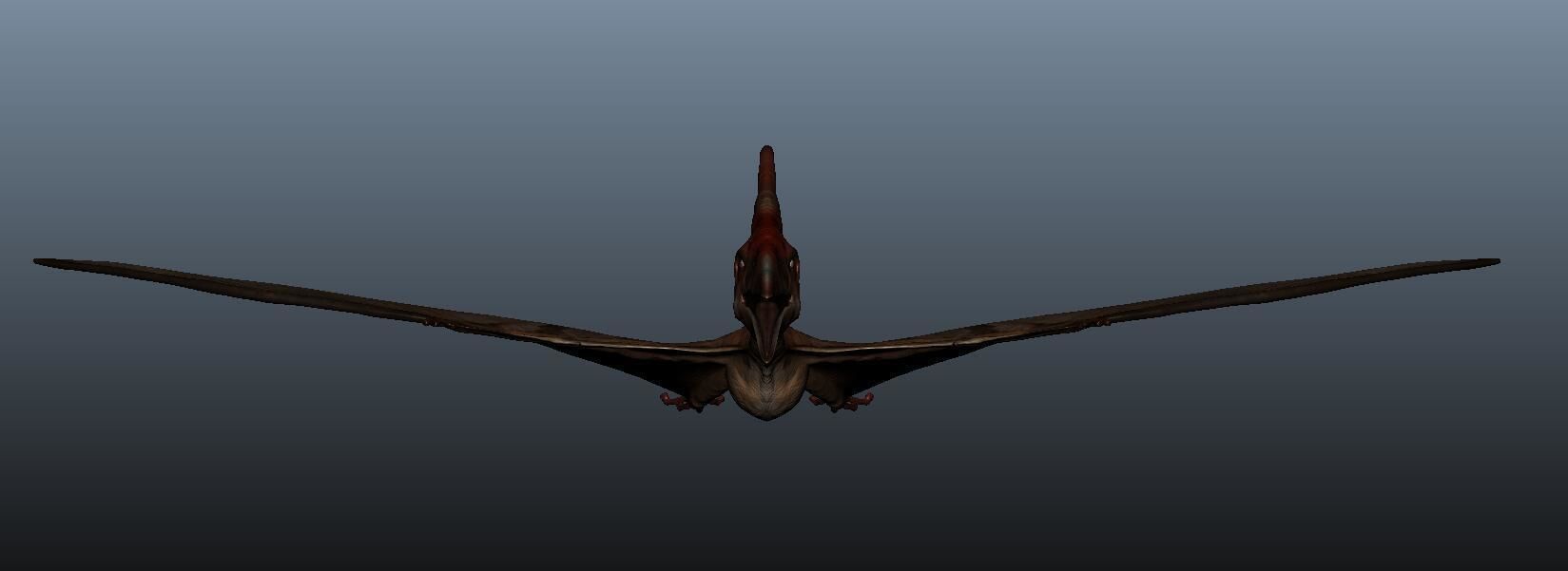 Pteranodon dinosaur flying in sky 3D model_4