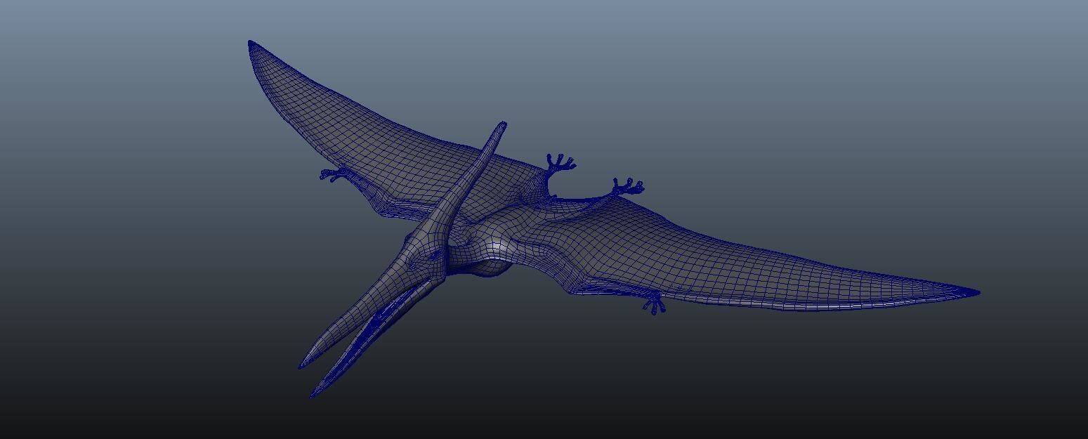 Pteranodon dinosaur flying in sky 3D model_6