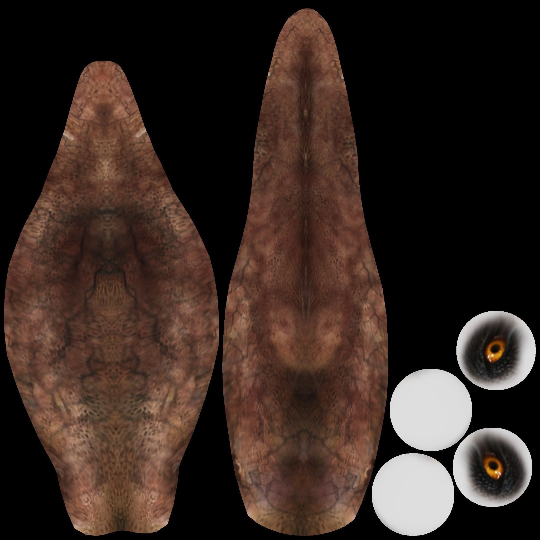 Pteranodon dinosaur flying in sky 3D model_13