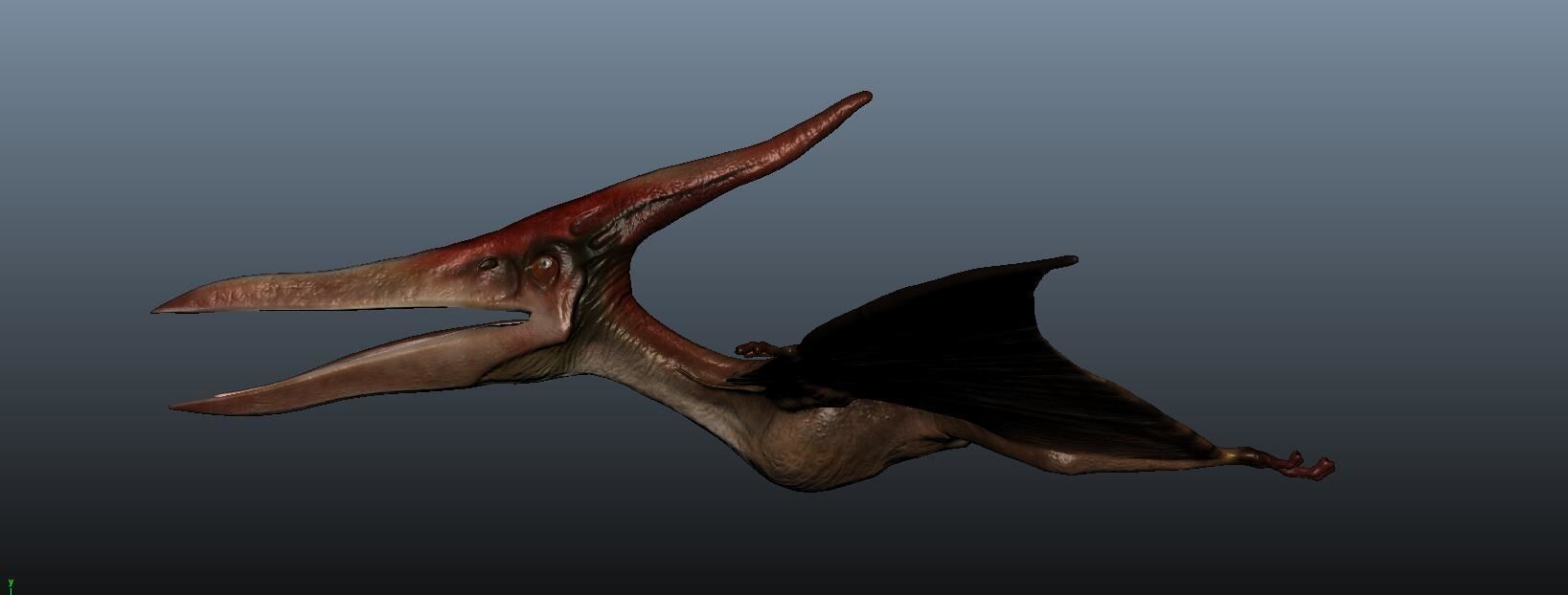 Pteranodon dinosaur flying in sky 3D model_2