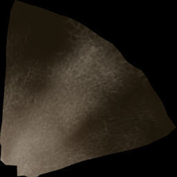 Pteranodon dinosaur flying in sky 3D model_11