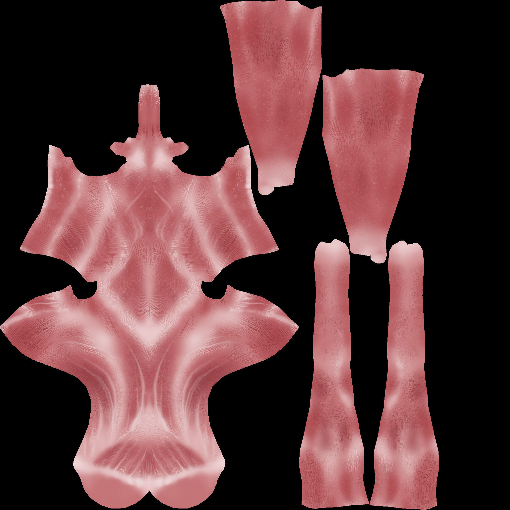 Pteranodon dinosaur flying in sky 3D model_12