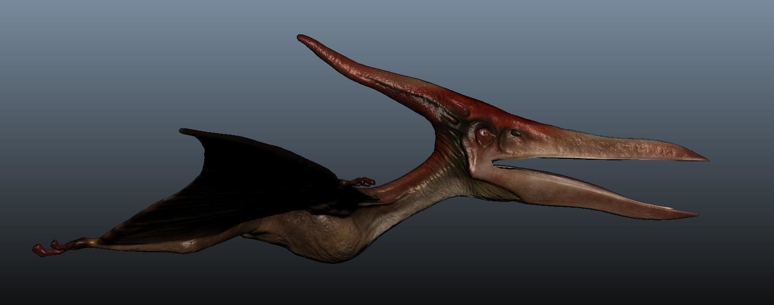 Pteranodon dinosaur flying in sky 3D model_3
