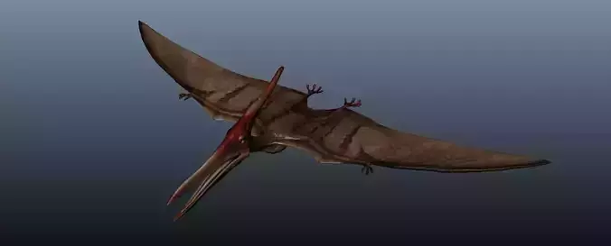 Pteranodon dinosaur flying in sky 3D model