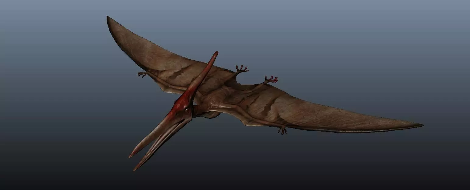 Pteranodon dinosaur flying in sky 3D model_0