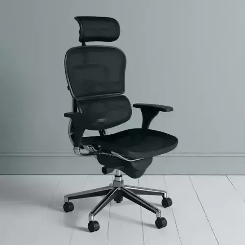 Ergo Human High Back Swivel Chair