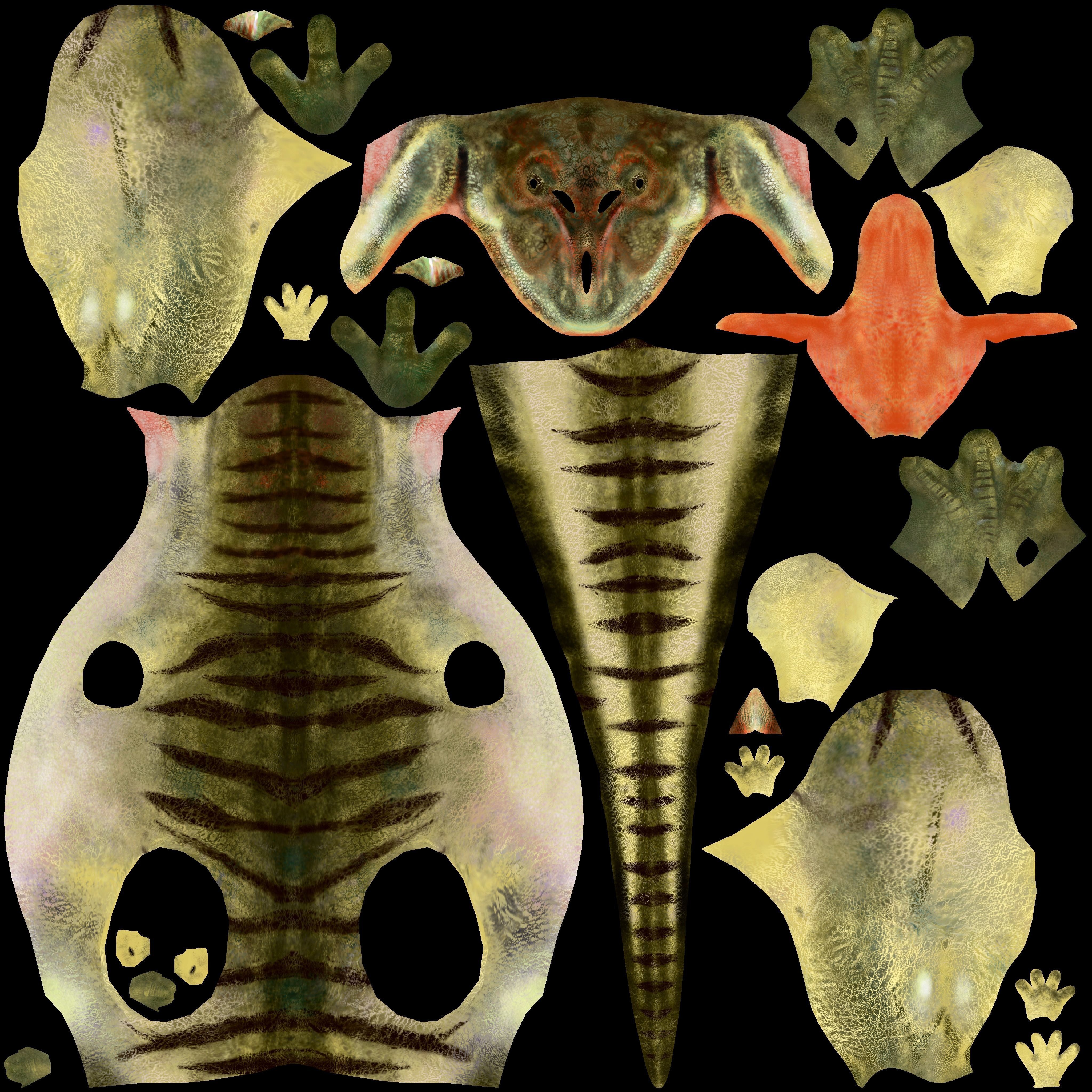 Ceratosaurus dinosaur 3D model_12
