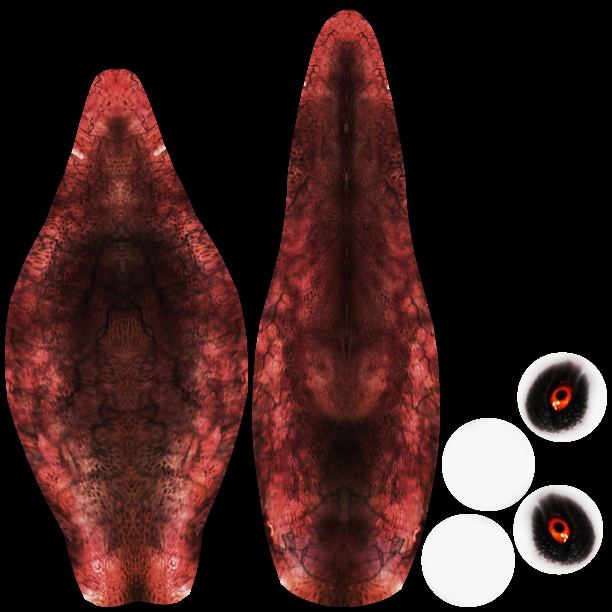 Ceratosaurus dinosaur 3D model_10