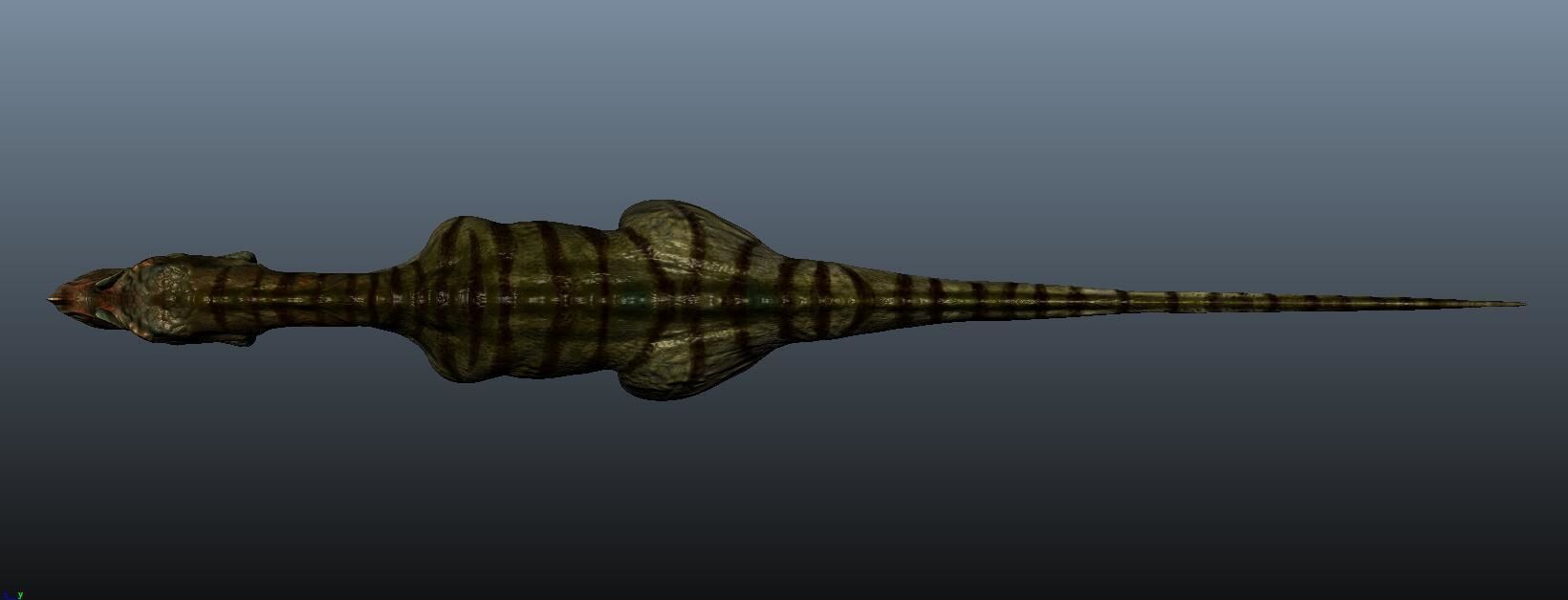 Ceratosaurus dinosaur 3D model_3
