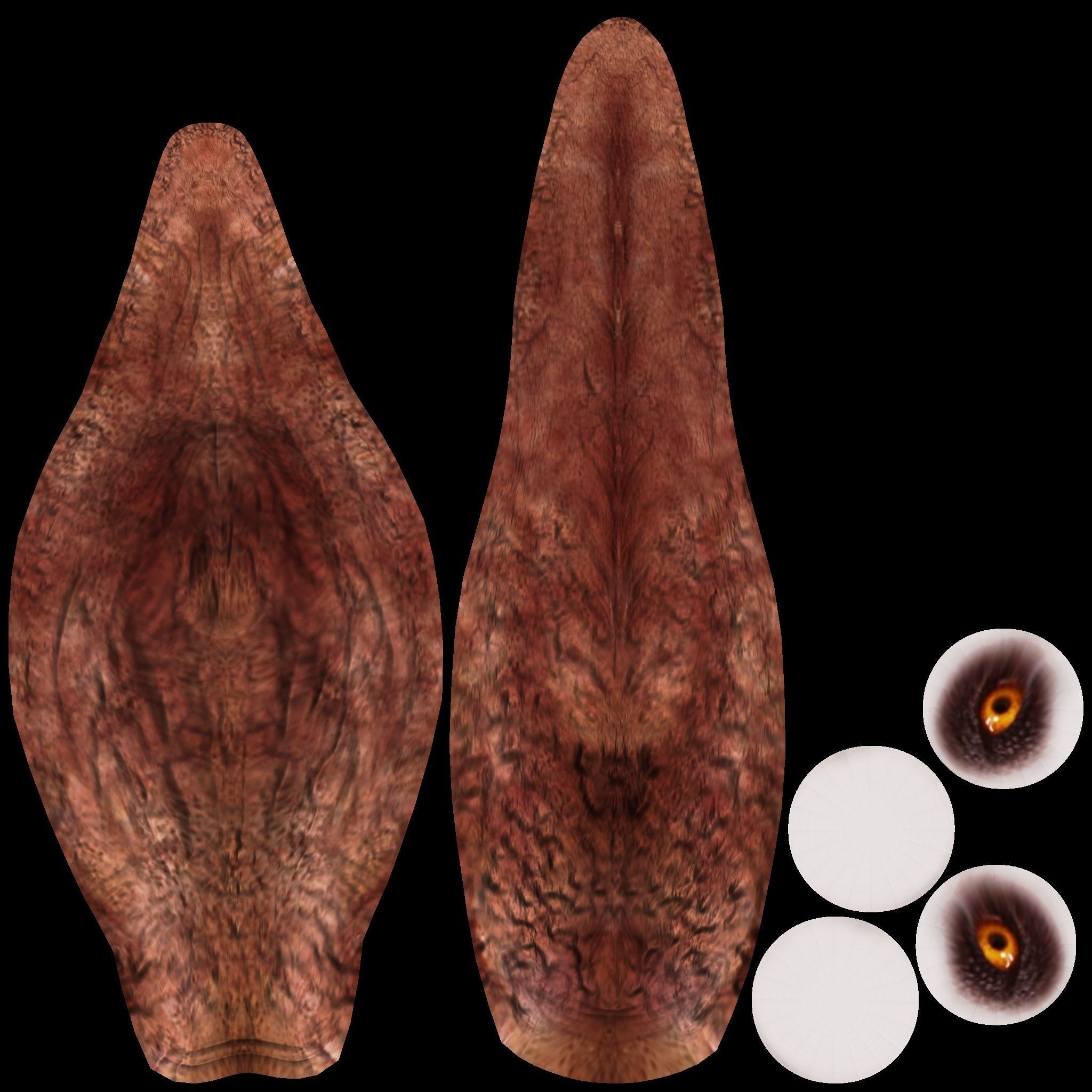 Shonisaurus dinosaur 3D model_13