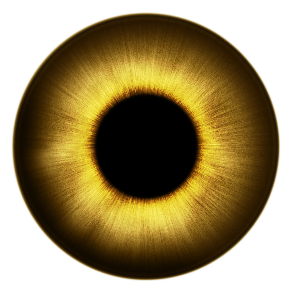 Shonisaurus dinosaur 3D model_12