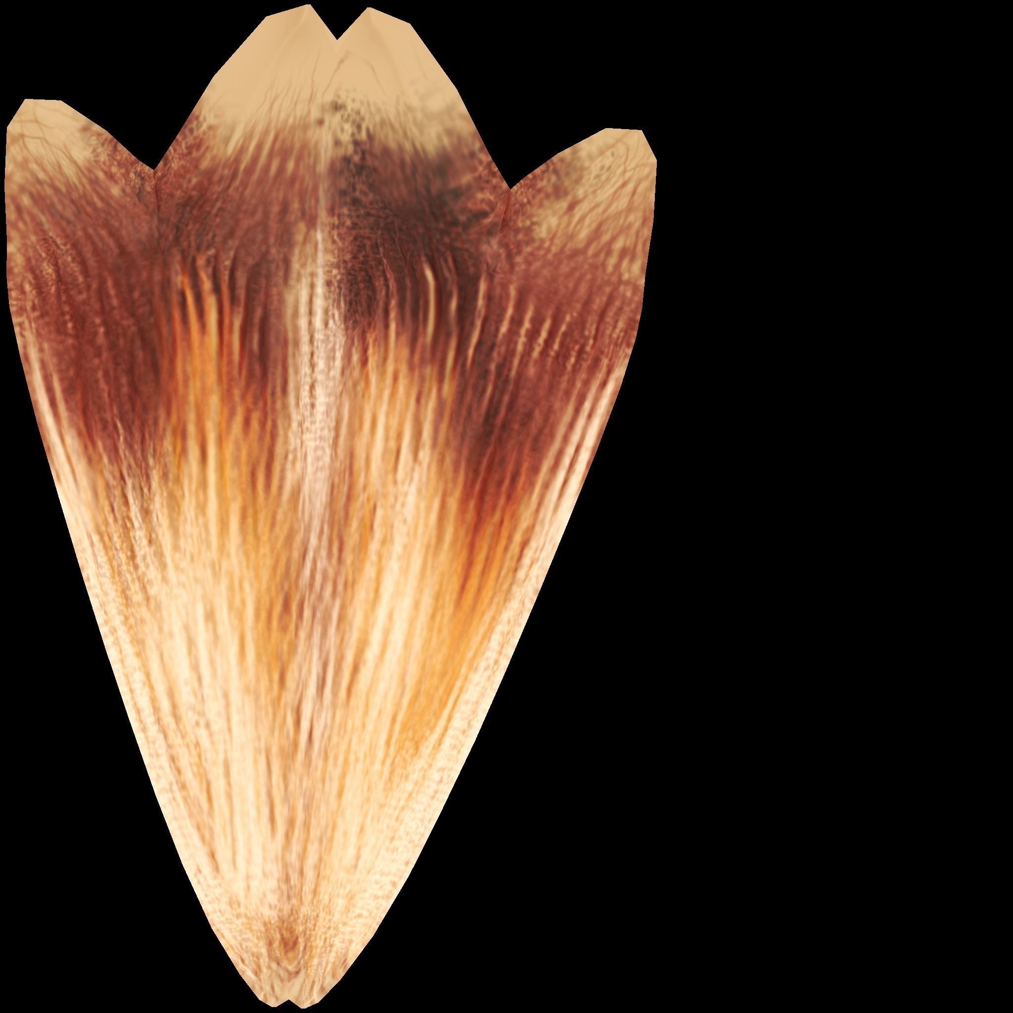 Shonisaurus dinosaur 3D model_10