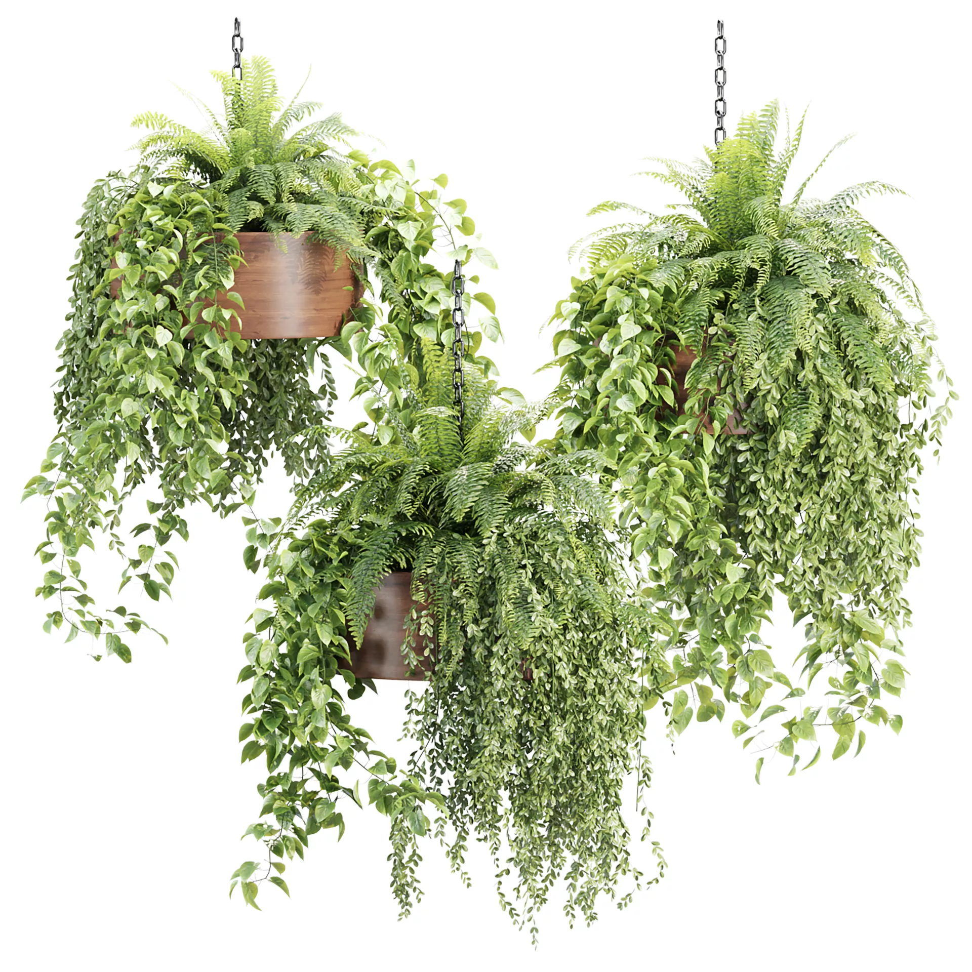 Indoor Hanging Plants Collection V533 3D Plant Model 3D model