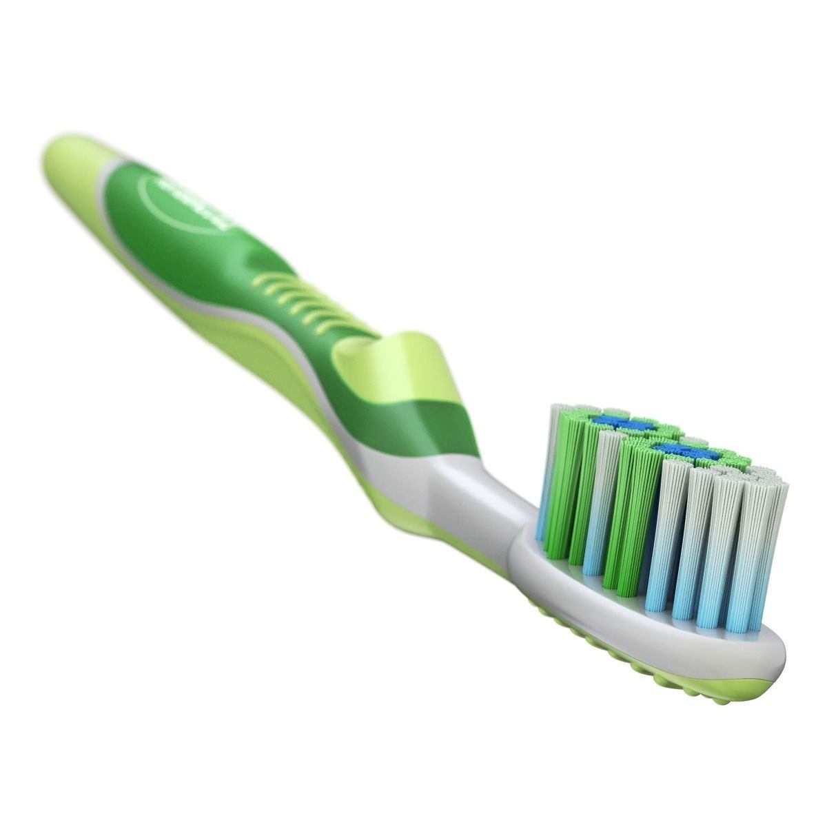 Toothbrush bristle electric 3D model_2