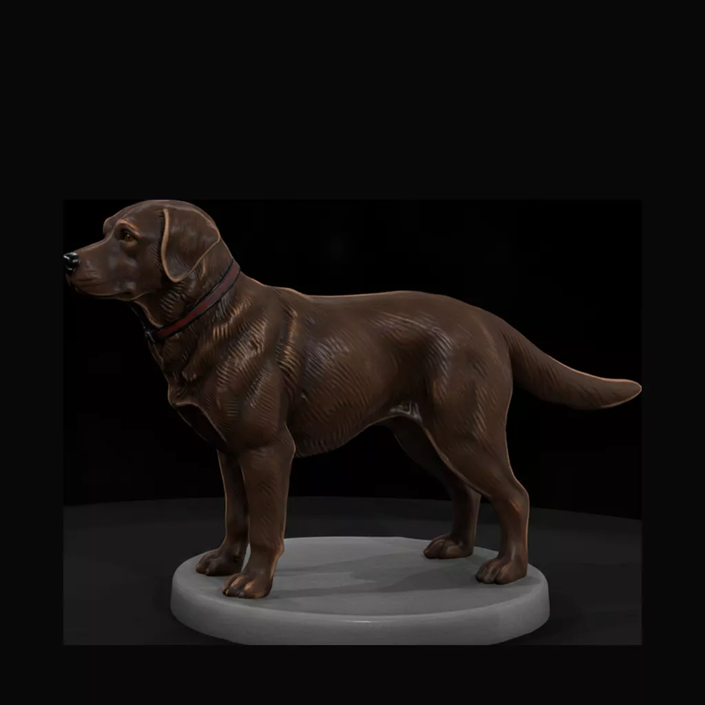 Standing Chocolate Labrador Retriever 3D print model