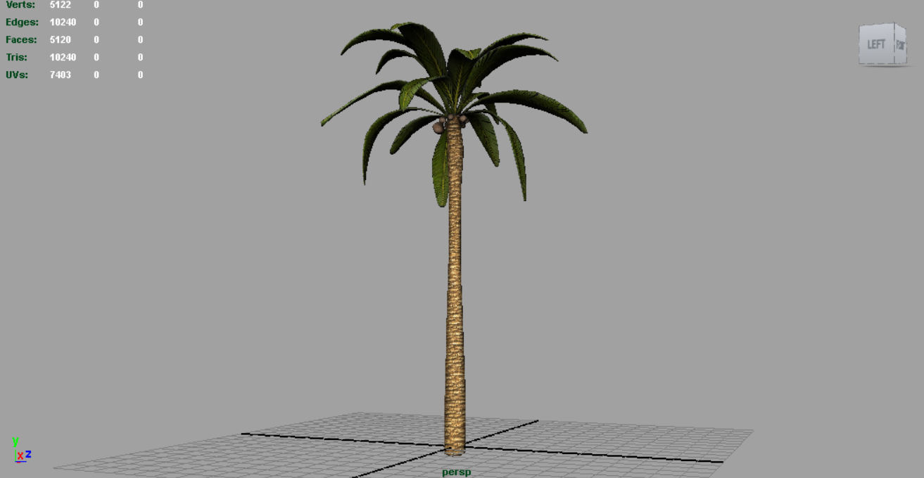 Palm Tree Low-poly 3D model_4
