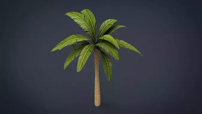 Palm Tree Low-poly 3D model