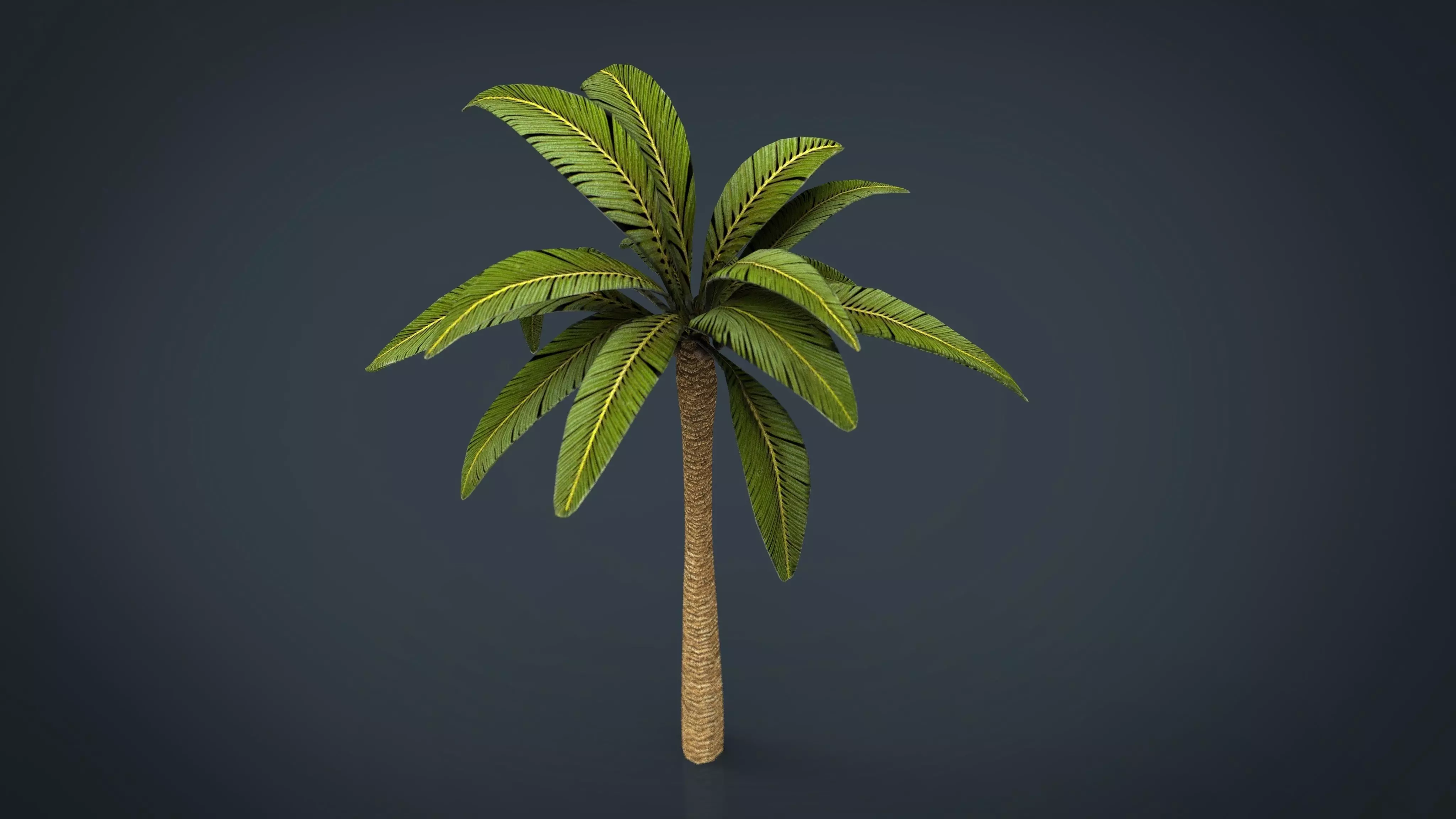Palm Tree Low-poly 3D model_0