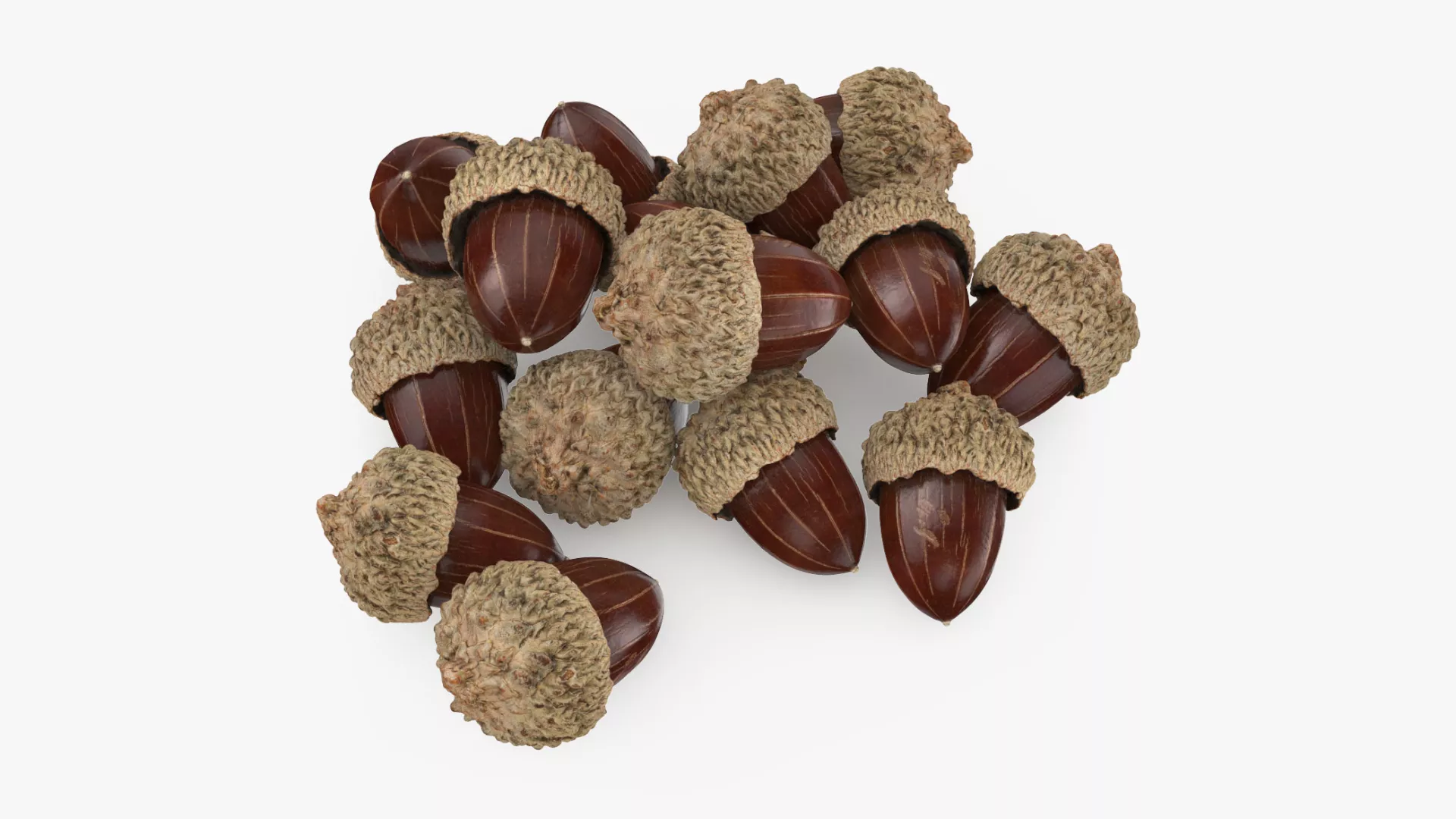 Acorn Pile Low-poly 3D model