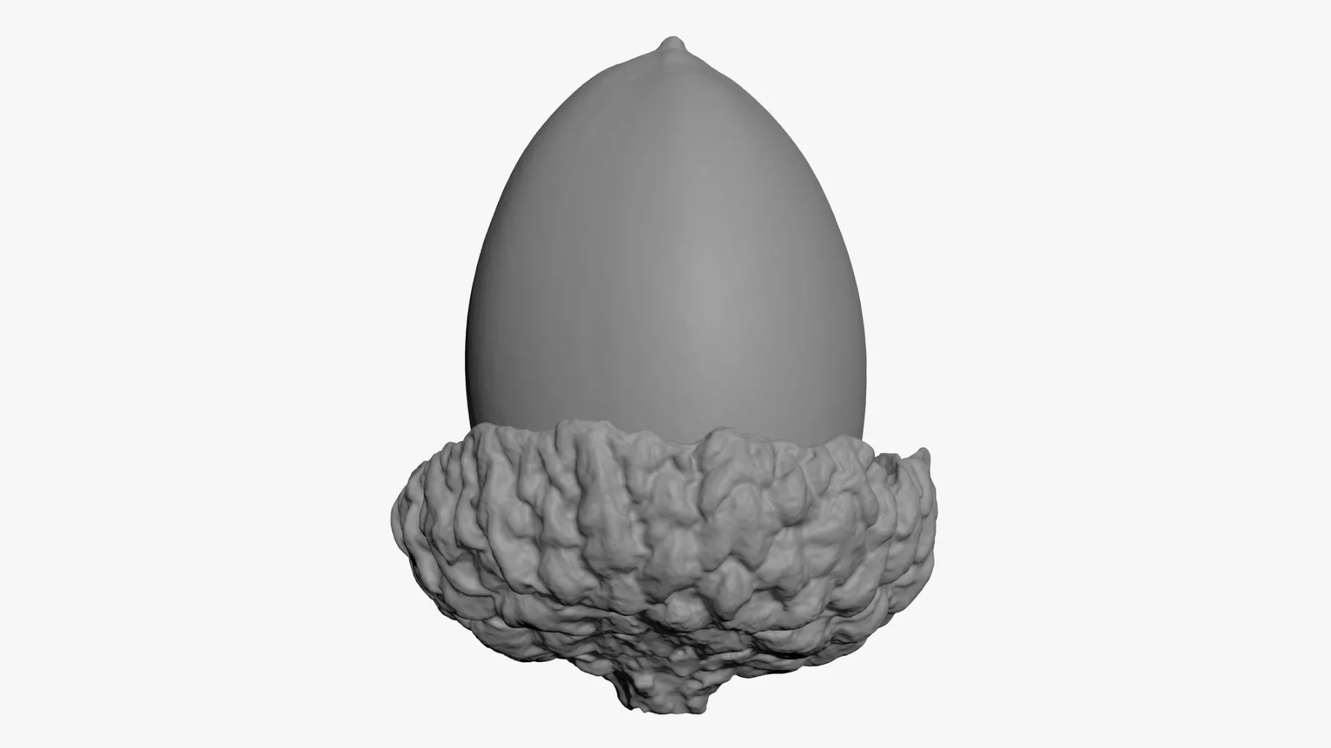 Acorn 03 - For 3D Print 3D print model