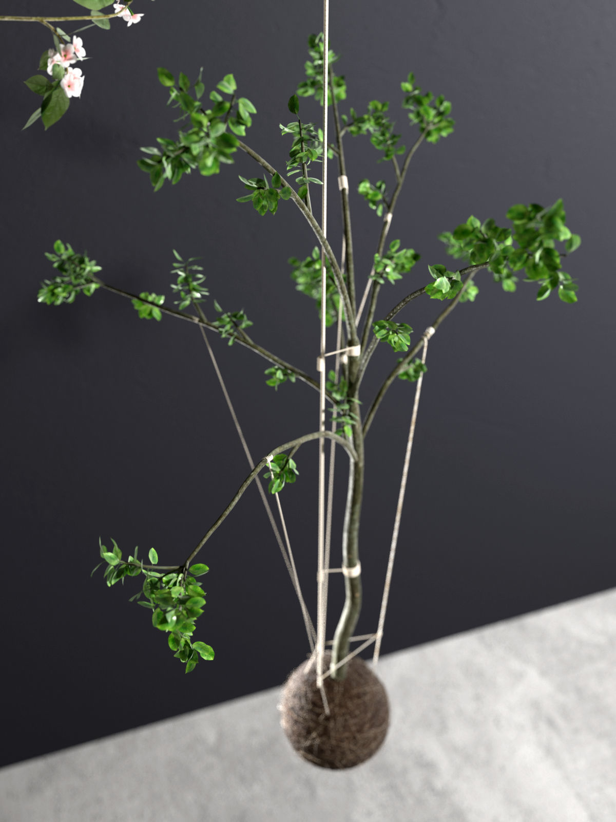 String Garden 3D model_5