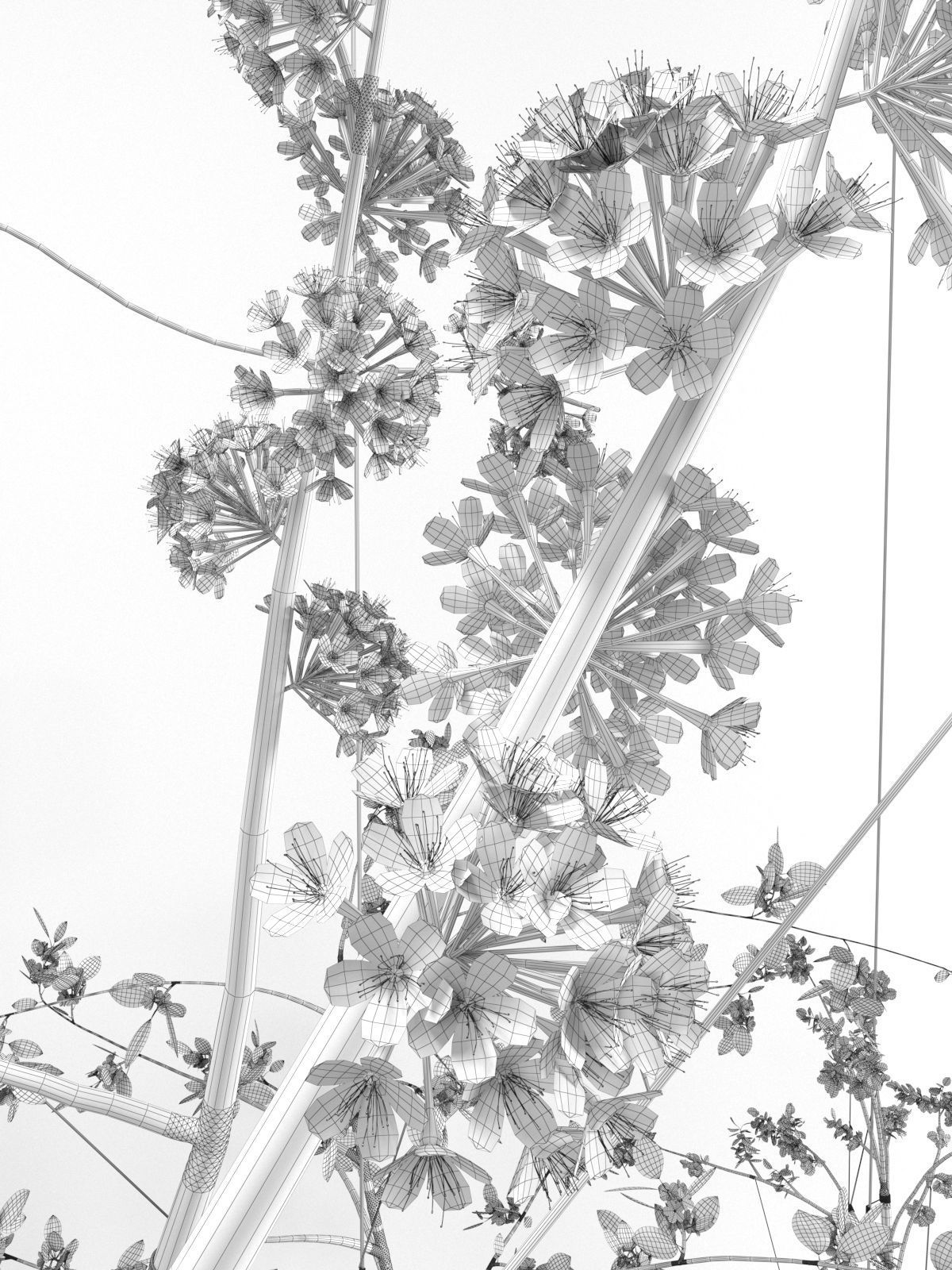 String Garden 3D model_9