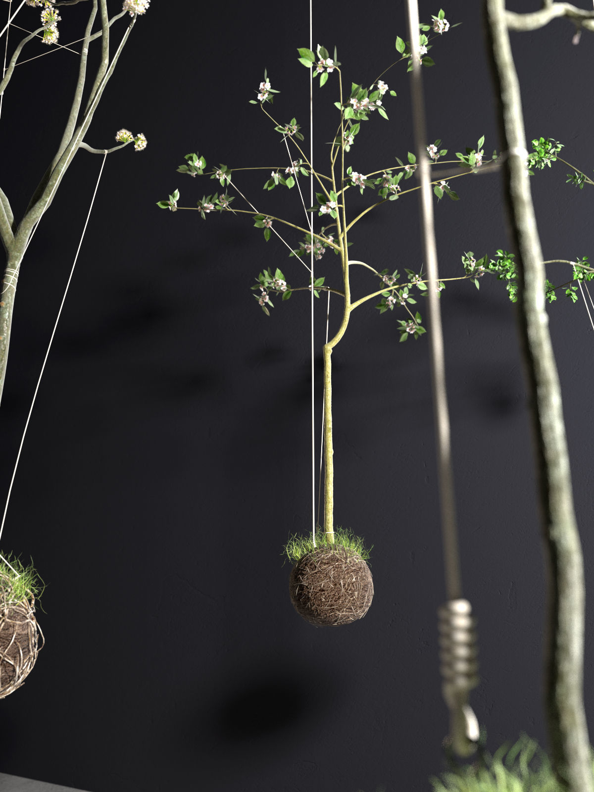 String Garden 3D model_2