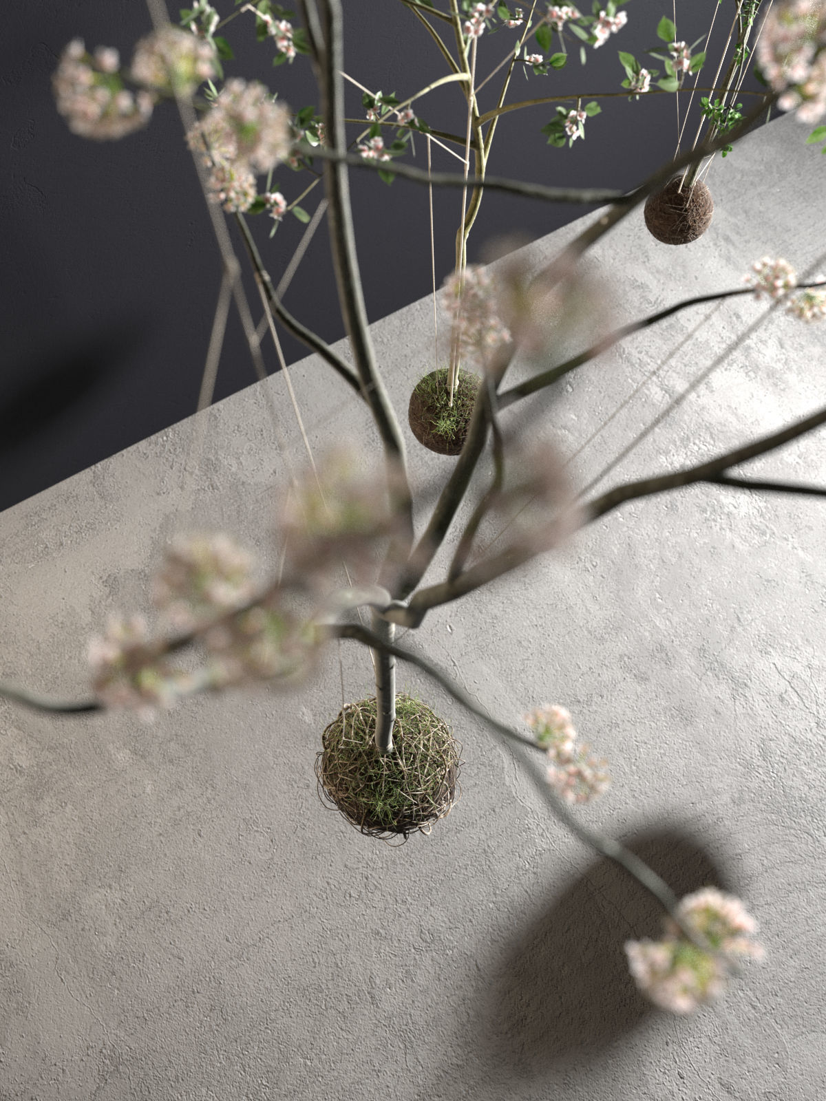 String Garden 3D model_3